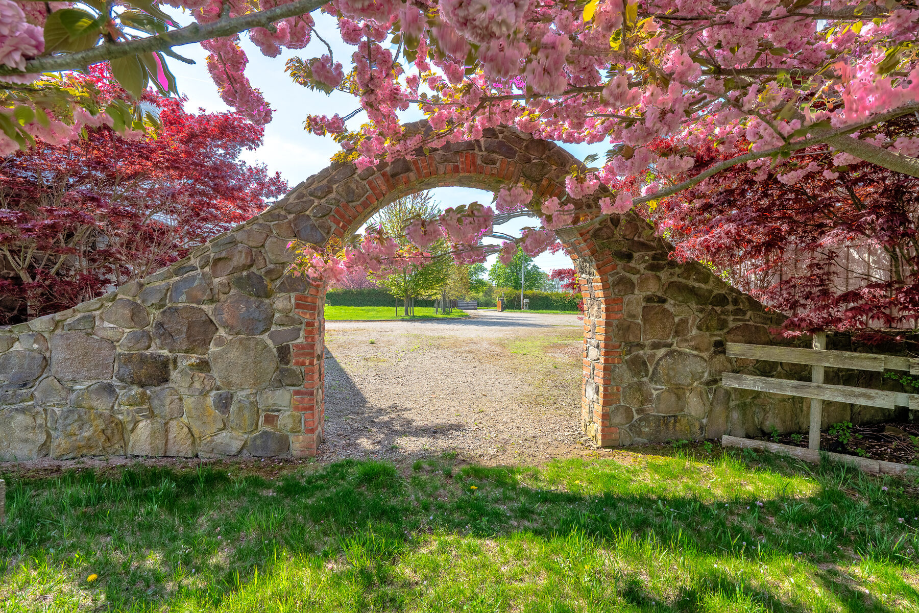 Through the stone arch with cherry blossoms framing the view